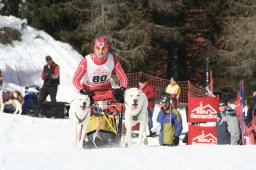 San Bernardino 2008